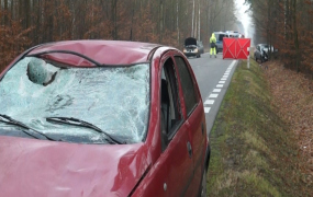 Kolizja z jeleniem przyczyną tragedii 